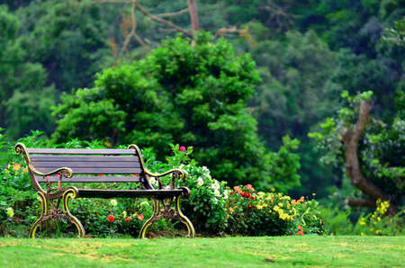 metal garden chair in beautiful garden の写真素材