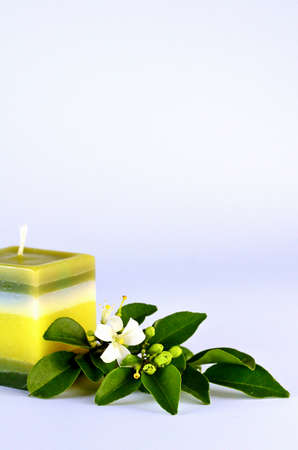 orange jasmine and handmade candleの写真素材