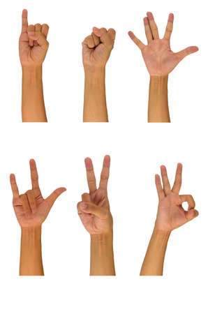 Set of gesturing hands isolated on white background の写真素材