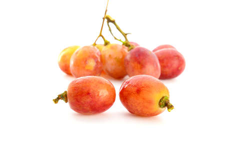 close up of red grapes on white backgroundの写真素材