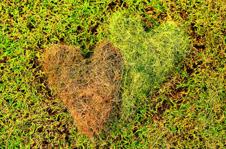 heart made from grass