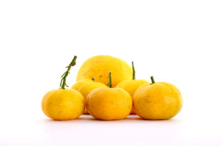 orange on white backgroundの写真素材