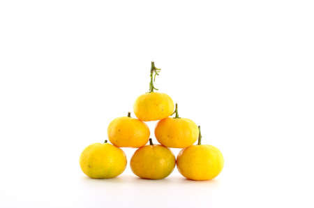 orange on white backgroundの写真素材