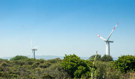 two majestic windmill blade in green field with clear blue sky