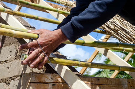 male hands knotting reeds for a roof in green architecture at workshopの写真素材