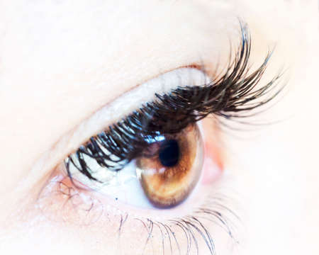 Close up of female brown eye with no make up and long lashes isolated for beautyの写真素材