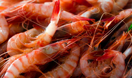 Group of fresh raw red shrimpsの写真素材