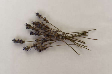 Twigs with dried lavender flowers on a white rag background view from above
