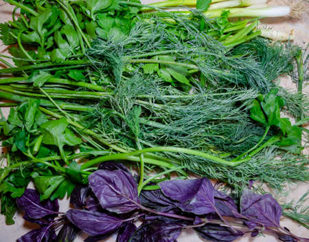 bunch of green onions, parsley, dill and dark basil herbs closeup macroの写真素材