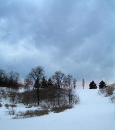  Winter in Canada         の写真素材