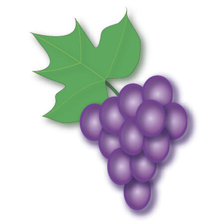 Grape Blueのイラスト素材