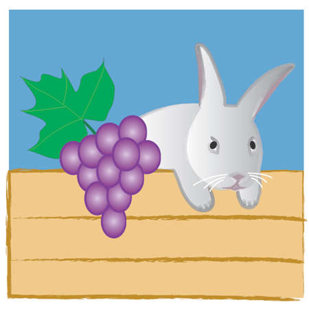 Easter Bunnyのイラスト素材