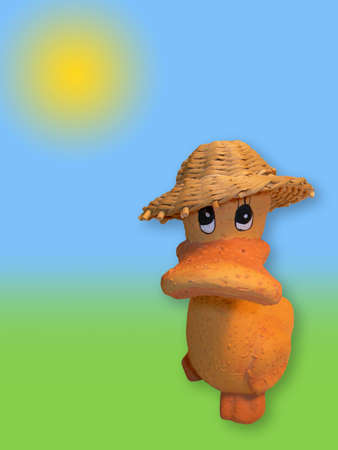  Duckling         の写真素材