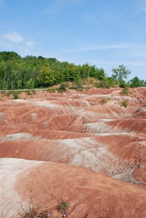 Badlands and green forestの写真素材
