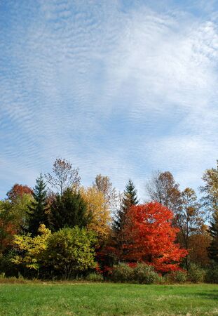 Autumn in Ontario, Canadaの写真素材