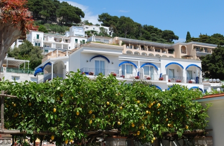 Lemon trees in a garden, Island Capri, south of Italyの写真素材