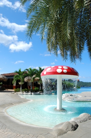 Tropical playgroundの写真素材
