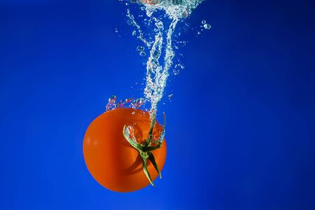 Fresh tomato falling into water. A delicious and nutritious snack.の写真素材