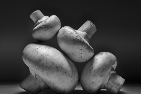 Big and Small Mushrooms on dark backgroundの写真素材