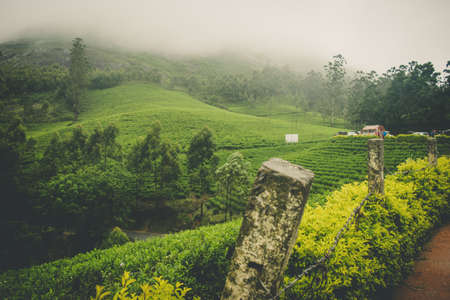 A foggy mountain view with beautiful greeneryの写真素材