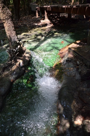 Water Flow at Emerald Pool Krabi Thailandの写真素材