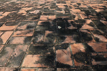 Brick floor Background of Temple in Ayutthaya Thailand.のeditorial素材