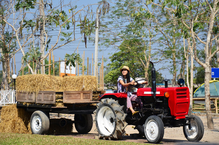 Thai Women portrait on Tractor trailer machine with Rice straw Baleの写真素材