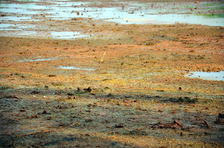 Effects Environmental from Chemicals and heavy metals in soil occur from Industrial Heavy metal release poisoning in soil from Industrialの写真素材