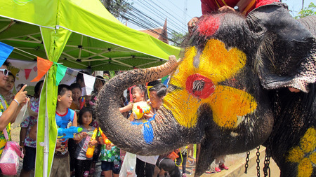 Songkran Festival is celebrated in a traditional New Year is Day from April 13 to 15, with the splashing water with elephants on April 14, 2015 in Ayutthaya, Thailand.のeditorial素材