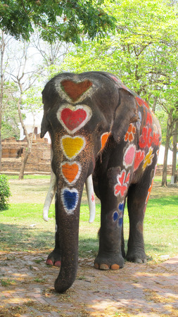 Songkran Festival is celebrated in a traditional New Year is Day from April 13 to 15, with the splashing water with elephants on April 14, 2015 in Ayutthaya, Thailand.のeditorial素材