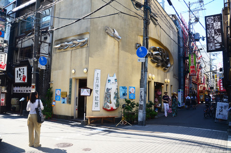 Traveler thai women portrait at Kamigata Ukiyoe Museum on July 10, 2015 in Osaka, Japanのeditorial素材