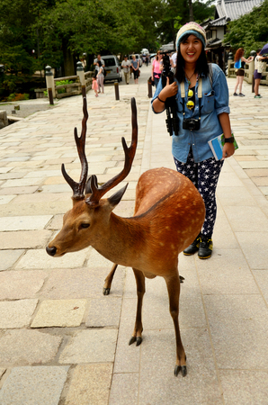Traveler shooting photo with deers at garden of Todai-ji Temple on July 9, 2015 in Nara, Japanのeditorial素材