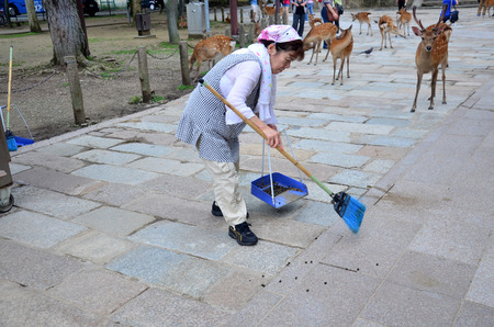 Old japanese woman sweeper cleaning deer pellets at walkway of Todai-ji Temple on July 9, 2015 in Nara, Japanのeditorial素材
