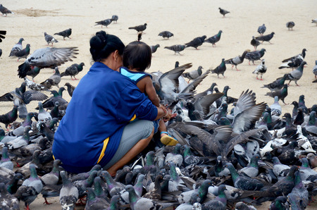 Thai people feeding food for pigeon birds at Wat Phra Mahathat Woramahawihan on September 18, 2015 in Nakhon Si Thammarat, Thailandのeditorial素材