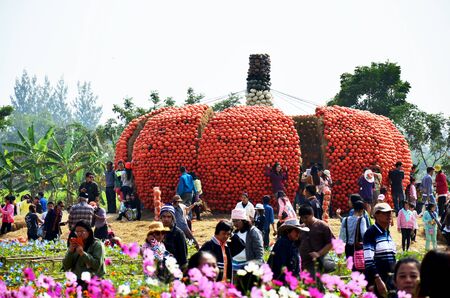 People travel and and take photo with big pumpkin at Jim Thompson Farm on December 30, 2013 in Nakhon Ratchasima, Thailandのeditorial素材