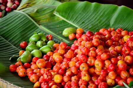 Barbados cherry fruits sale at market in Thailnad.の写真素材