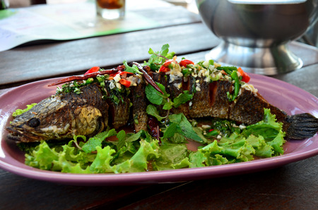 Snake-head fish Deep Fried serve with Herb and Spicy Sauce at restaurant in Thailand