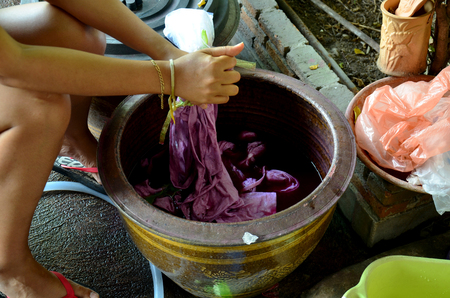 Thai women tie batik dyeing red and pink natural color made from Kerridae at Nonthaburi, Thailand.の写真素材
