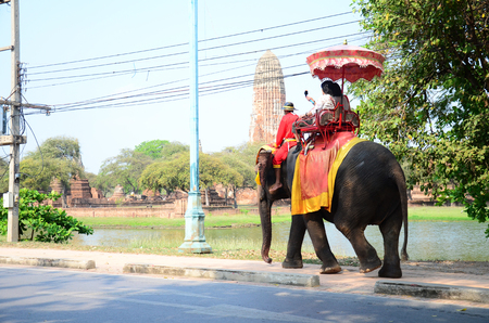 Traveler riding elephant for tour around Ayutthaya ancient city in Ayutthaya, Thailandのeditorial素材
