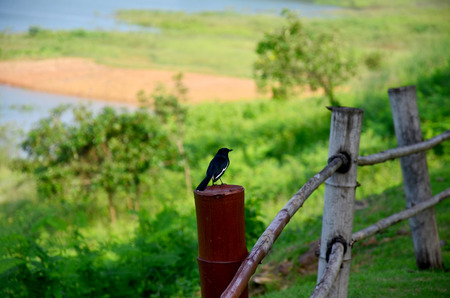 View of kaeng krachan dam in Kaeng Krachan largest national park in Phetchaburi, Thailand.の写真素材