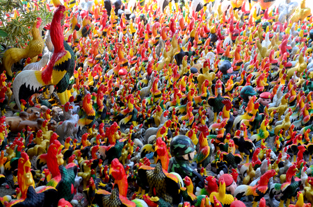 Culture and tradition of thailand. Praying and Sacrificial offering by use Fighting cock figureの写真素材