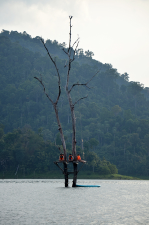 Thai people relaxing and playing at Tree death stand in Cheow Lan Lake at Ratchaprapa Dam Reservoir in Khao Sok National Park in Surat Thani, Thailandのeditorial素材