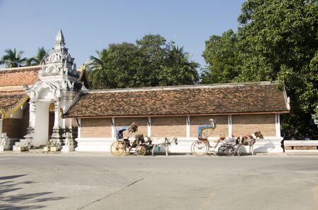 Horses drawn carriage waiting travelers people use service tour around city at Wat Phra That Lampang Luang Buddhist Templeの写真素材