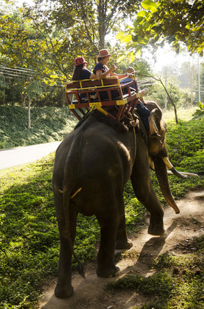 Thai man mahout riding elephant service people tour around forest near Thai Elephant Conservation Center Lampang at Hang Chat on December 28, 2016 in Lampang, Thailandのeditorial素材