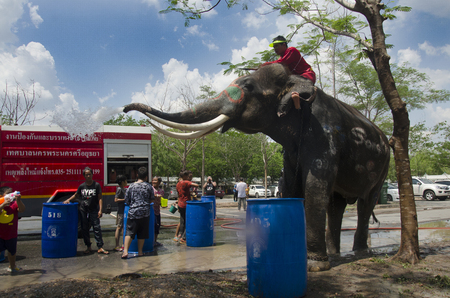 Thai people and foreigner travelers playing and splashing water with elephants and people in Songkran Festival at Ayutthaya city on April 14, 2017 in Ayutthaya, Thailandのeditorial素材