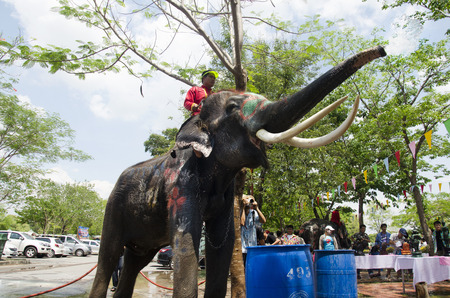 Thai people and foreigner travelers playing and splashing water with elephants and people in Songkran Festival at Ayutthaya city on April 14, 2017 in Ayutthaya, Thailandのeditorial素材