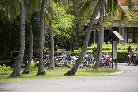Travelers people walking and biking bicycle in Sri Nakhon Khuean Khan Park and Botanical Garden or khung bang kachao park on August 9, 2017 in Samut Prakan, Thailandの写真素材