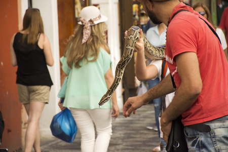 Czechia people show and rent boa snake for take photo at small alley from charles bridge go to old...