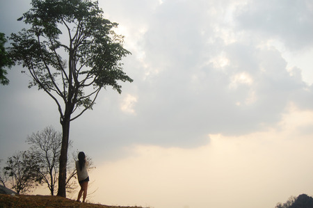 Asian thai women travelers stand alone under tree for looking sunset at viewpoint on top of mountain Doi Samer Dao in Sri Nan National Park in Nan,Thailandの写真素材
