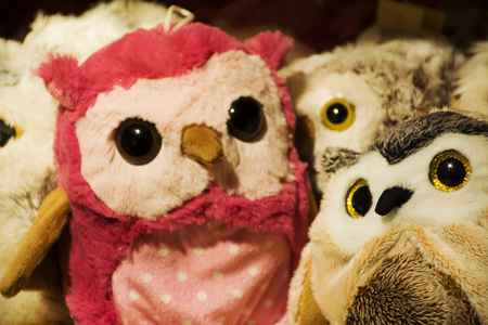 Handmade fabric colorful Owl Doll for sale travelers people in souvenir gift shop in Black Forest or Schwarzwald at Baden-wurttemberg in Stuttgart, Germanyの写真素材